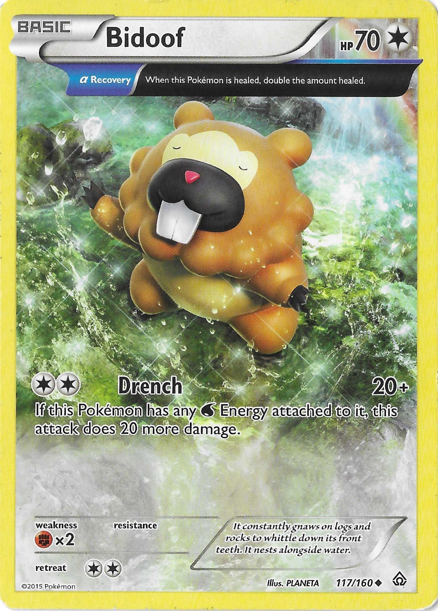 Bidoof 117/160 XY Primal Clash Non Holo LP