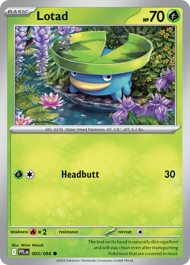Lotad 005/094 Common
