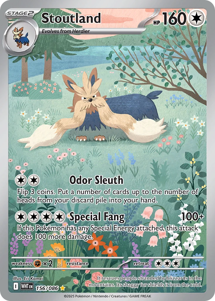 Stoutland 156/086 Illustration rare