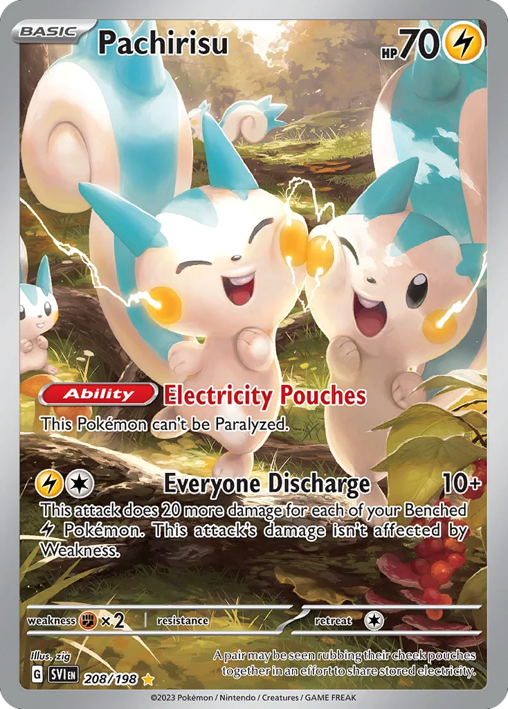 Pachirisu 208/198 Illustration rare
