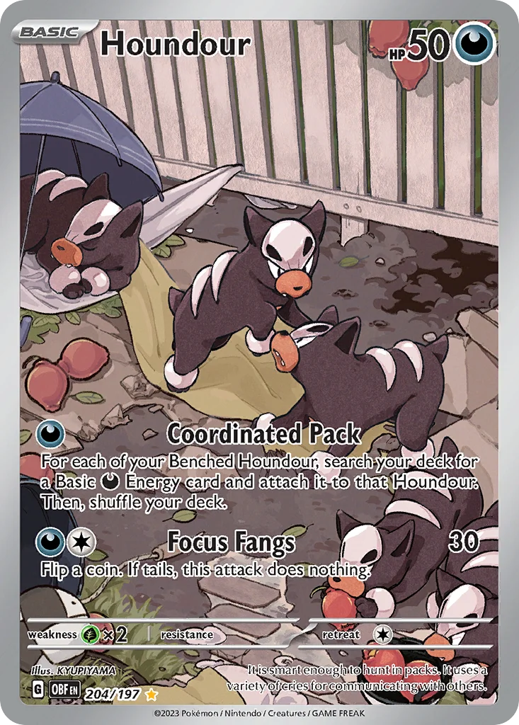 Houndour 204/197 Illustration rare