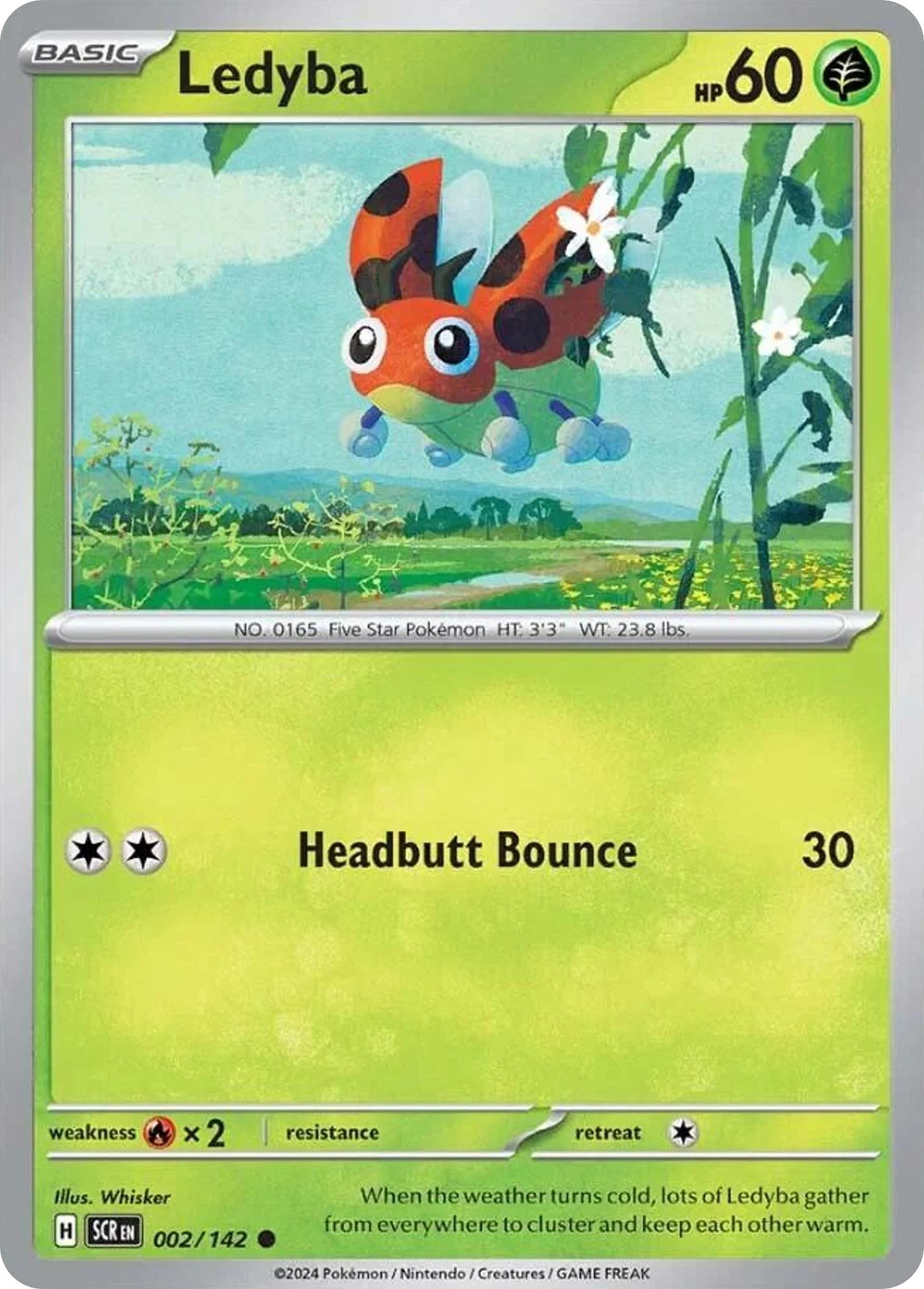 Ledyba 002/142 Common