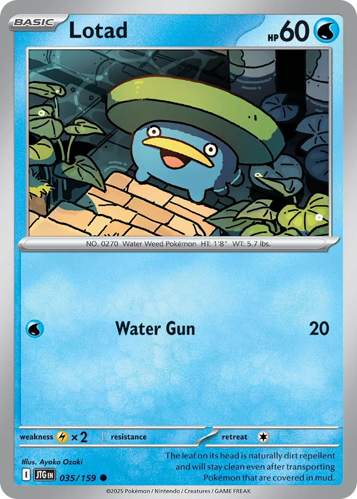 Lotad 035/159 Common