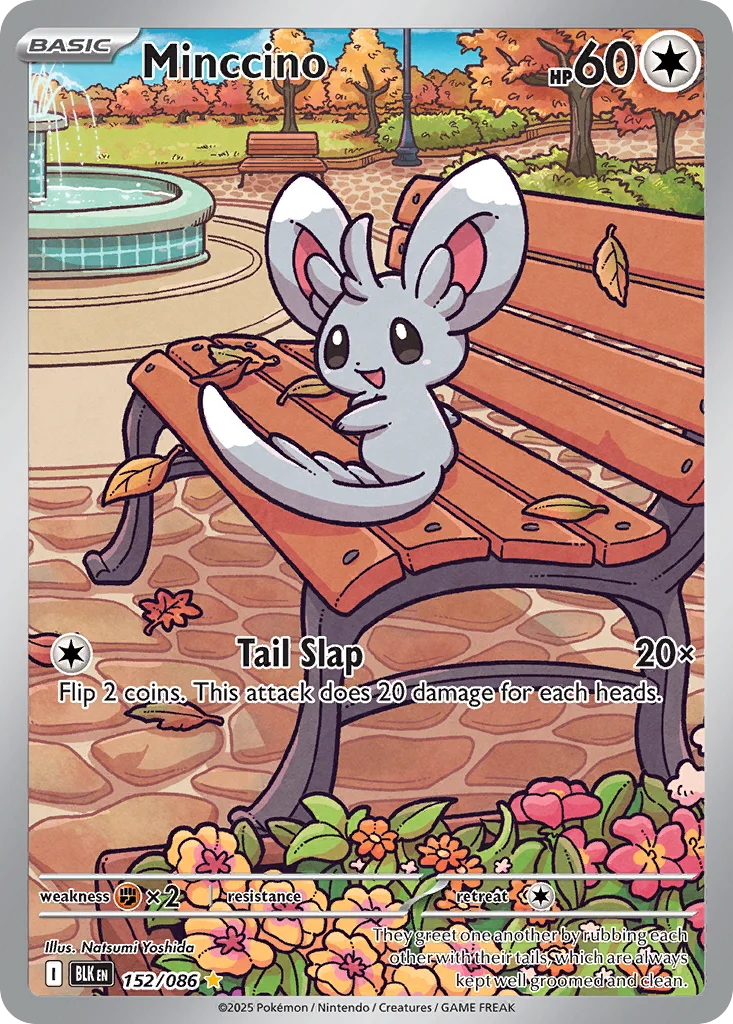 Minccino 152/086 Illustration rare
