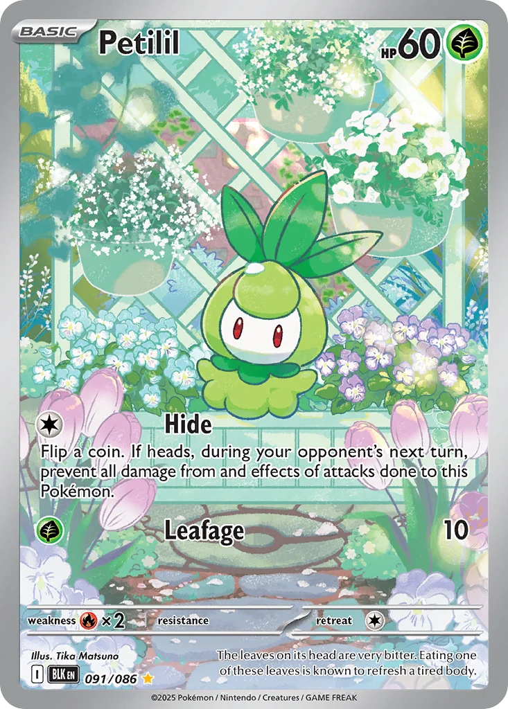 Petilil 091/086 Illustration rare