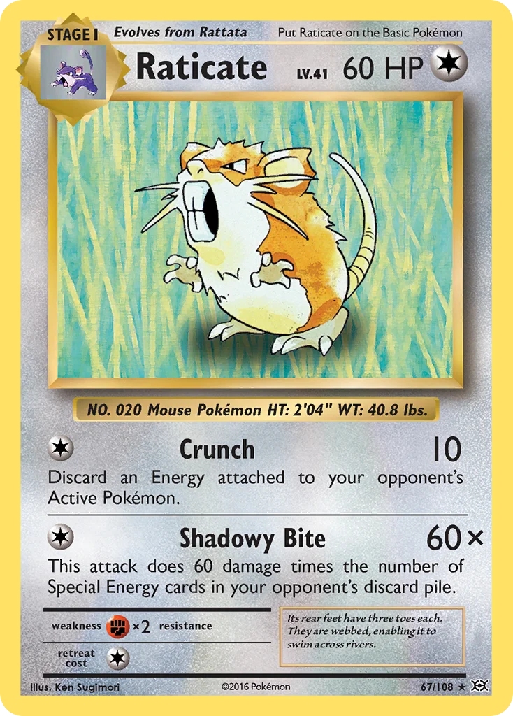 Raticate 067/108 Rare